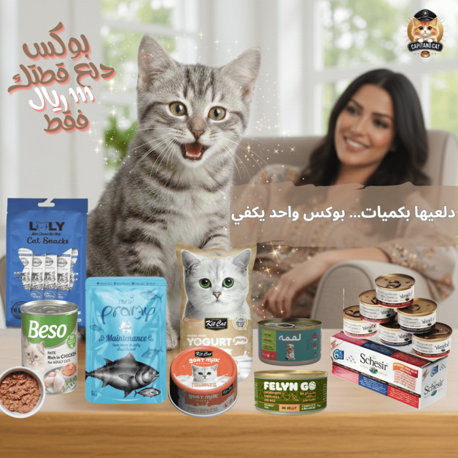 بوكس دلع قطتك