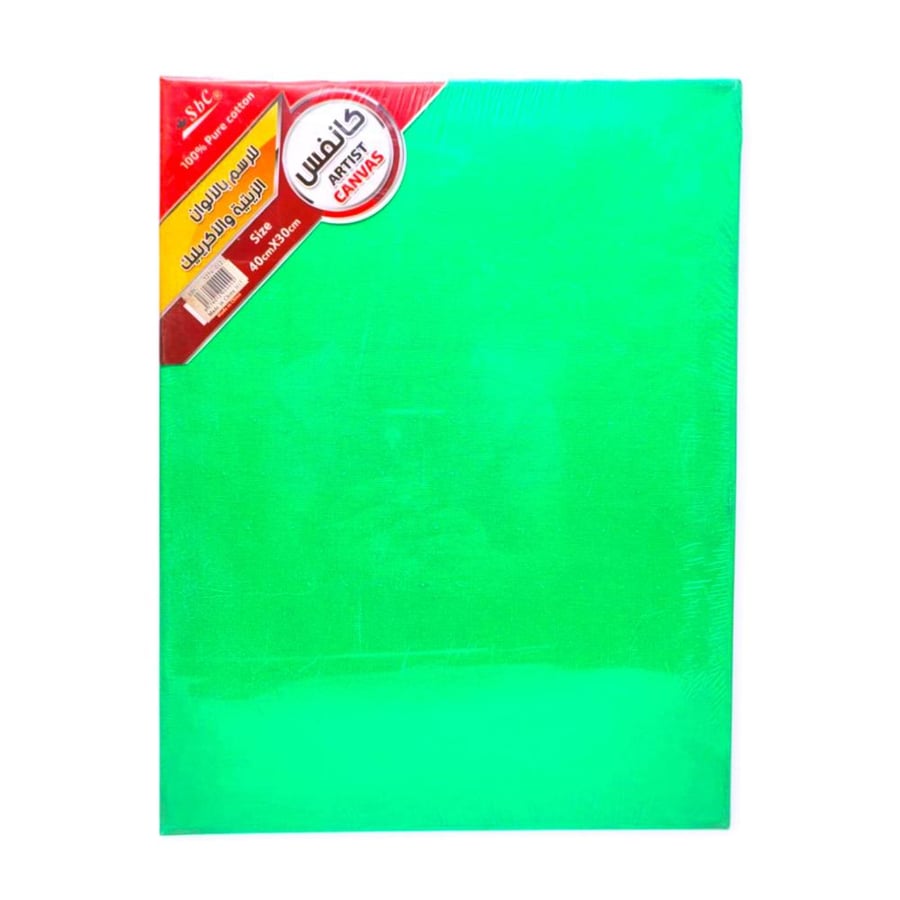 لوحة كانفس مقاس 30×20