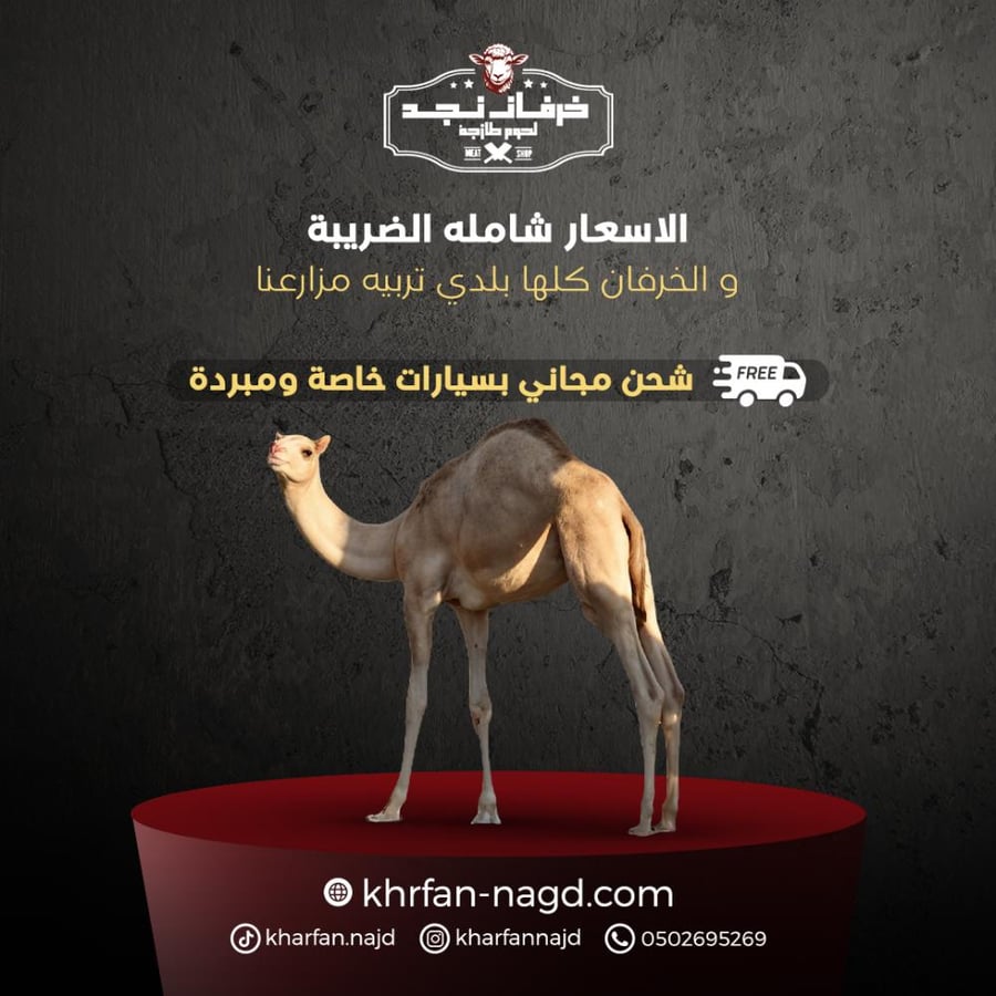الحاشي البلدي
