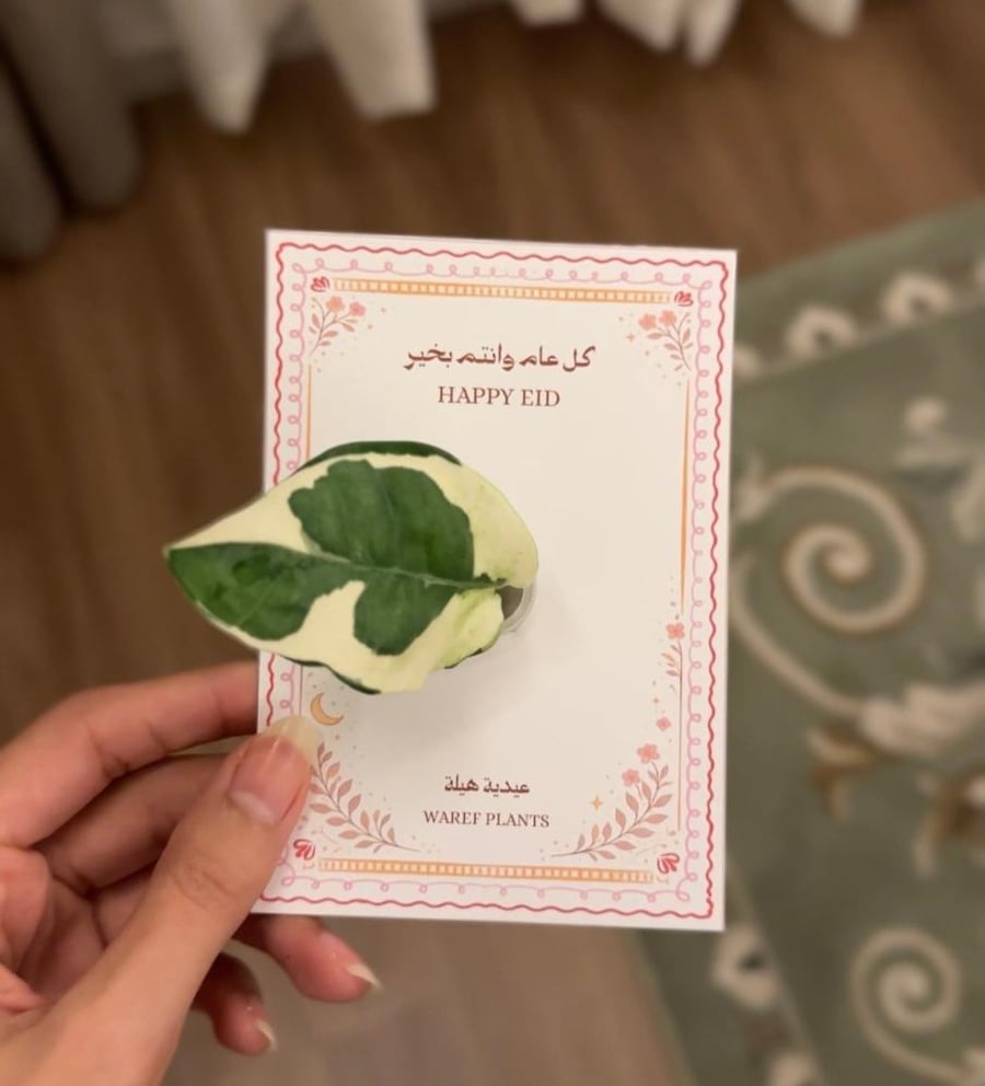 كرت العيد 2