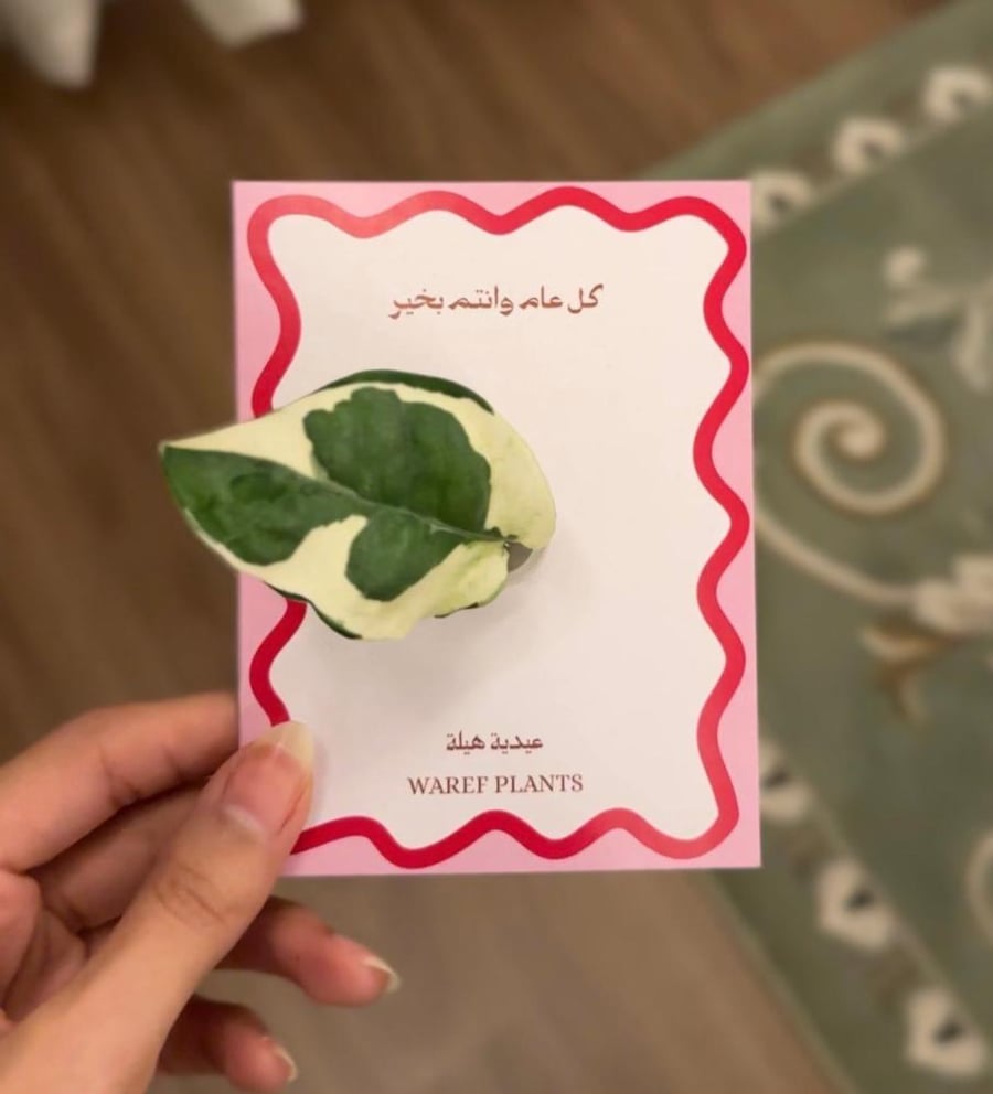 كرت العيد 1