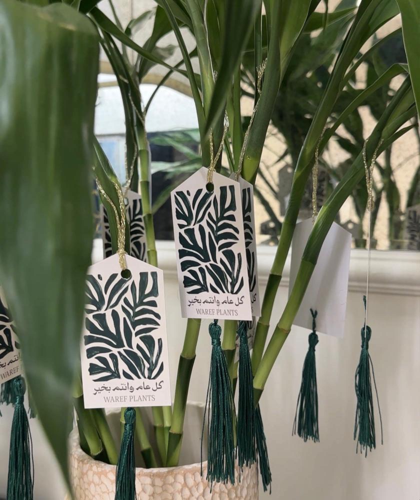 Bamboo stalk party favors