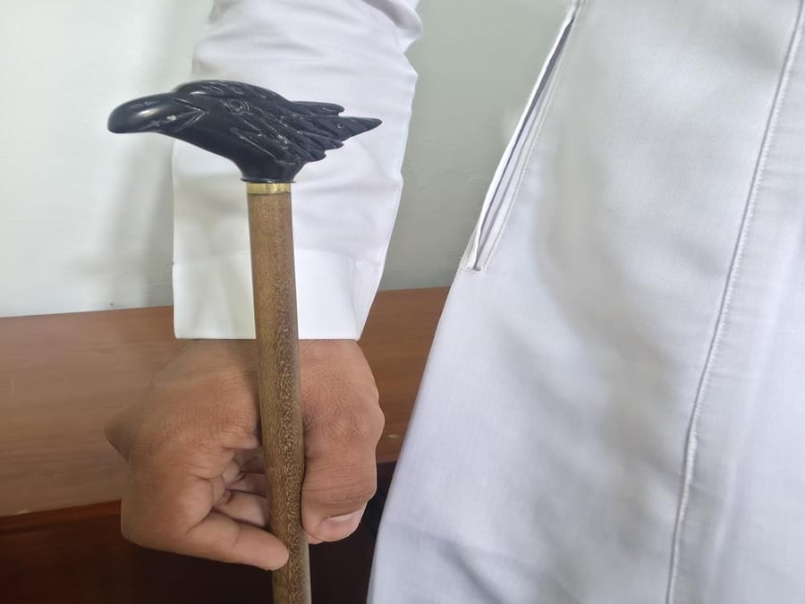 عصا رأس نسر صغير اسود