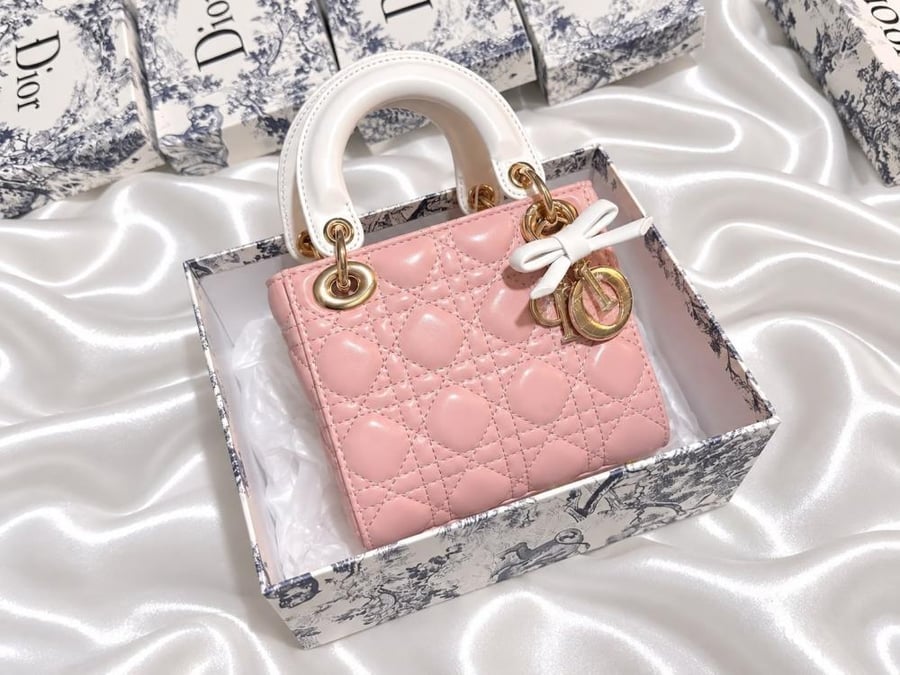 شنطه ديور size 20 cm