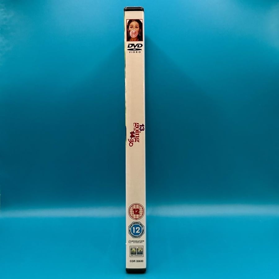 13 going on 30 DVD with translation