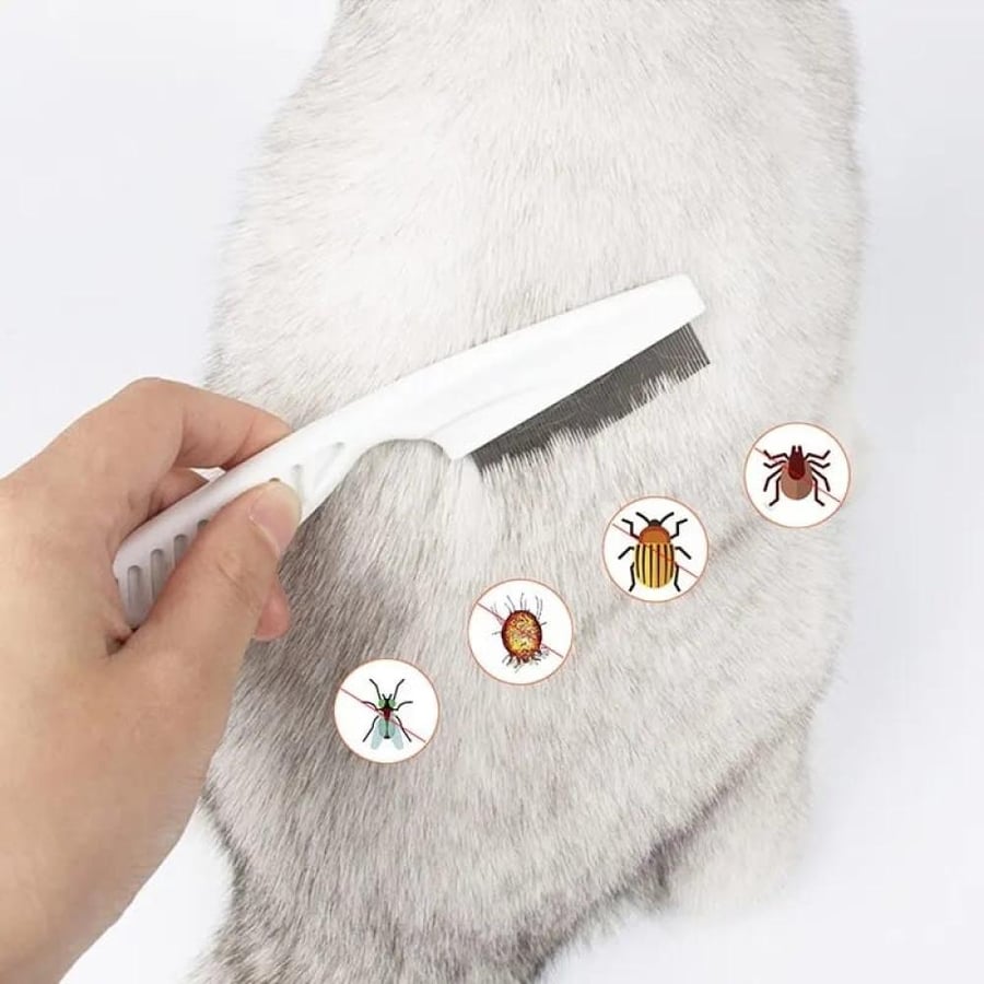 مشط