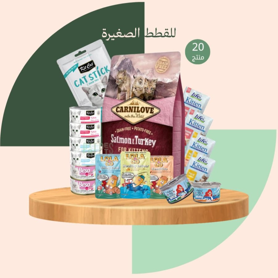 بوكس للقطط الصغيرة