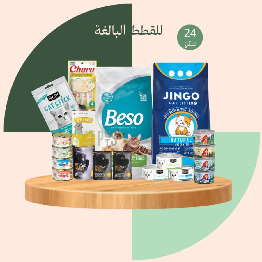 بوكس اليوم الوطني للقطط البالغة