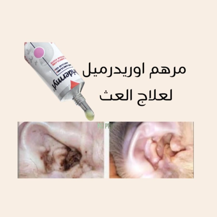 مرهم اوريدرميل لعلاج عث الأذن للقطط و الكلاب 10 جرام
