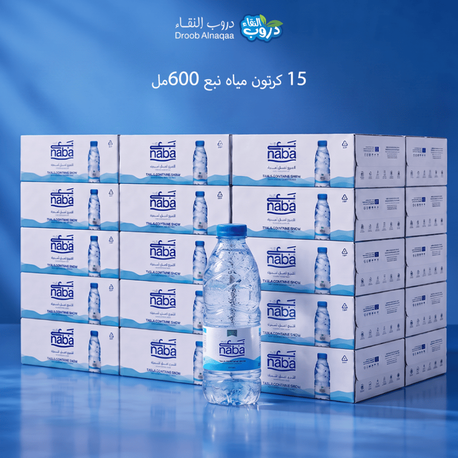 15 كرتون مياه نبع 600 مل