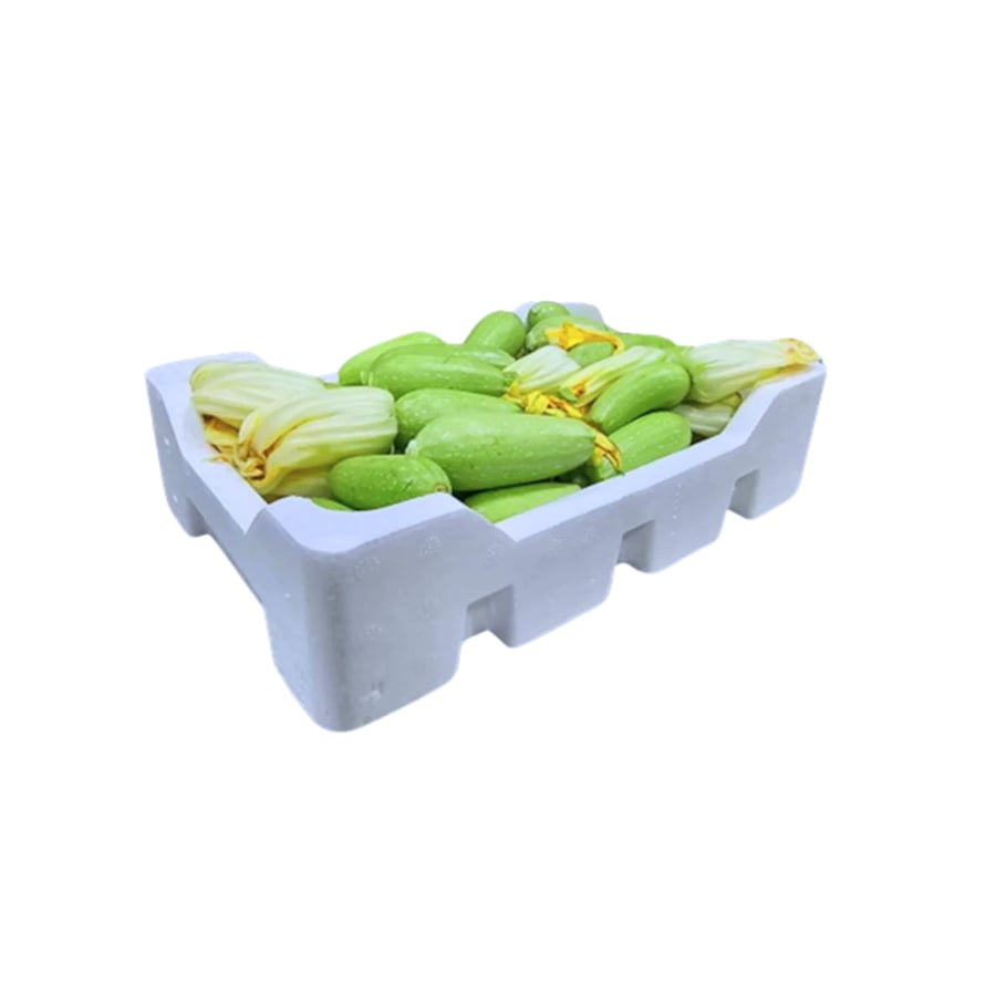 كوسة فلين وسط