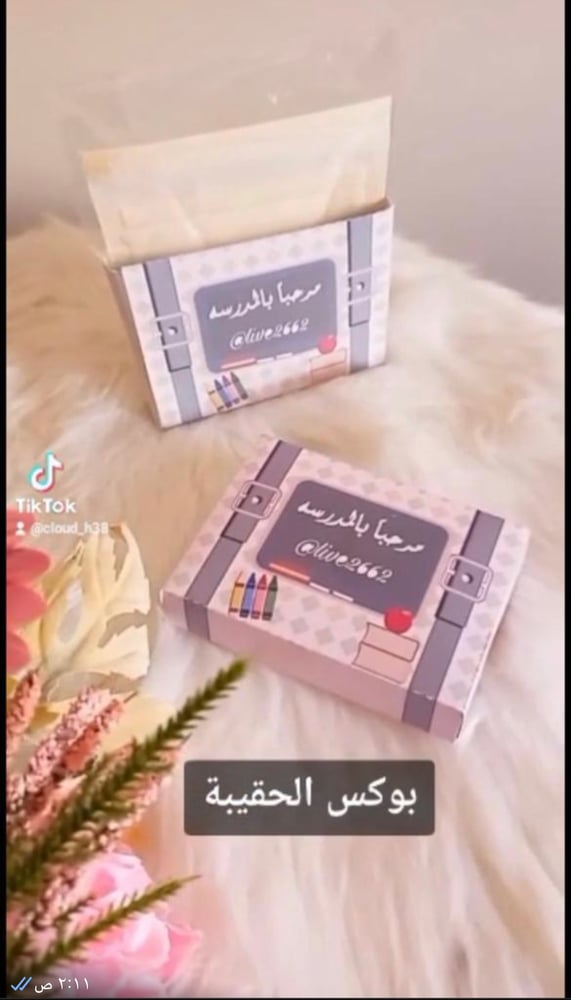 بوكس الحقيبة