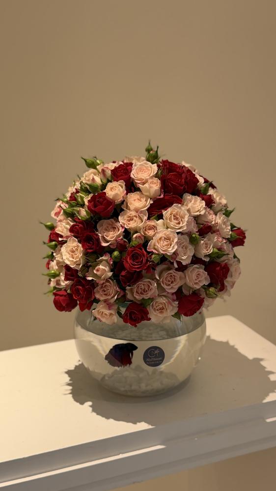 فازة سمك 30غصن بيبي روز