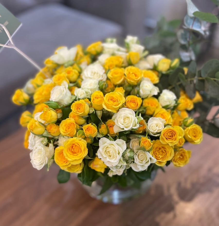 فازا 30 غصن بيبي روز