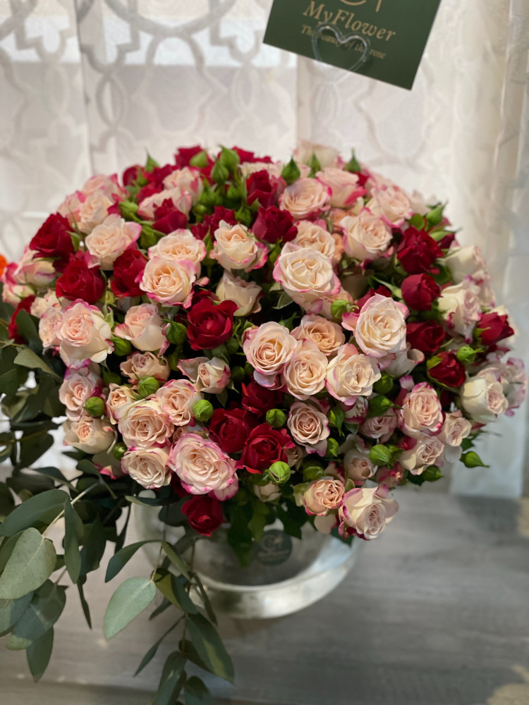 فازا 30 غصن بيبي روز