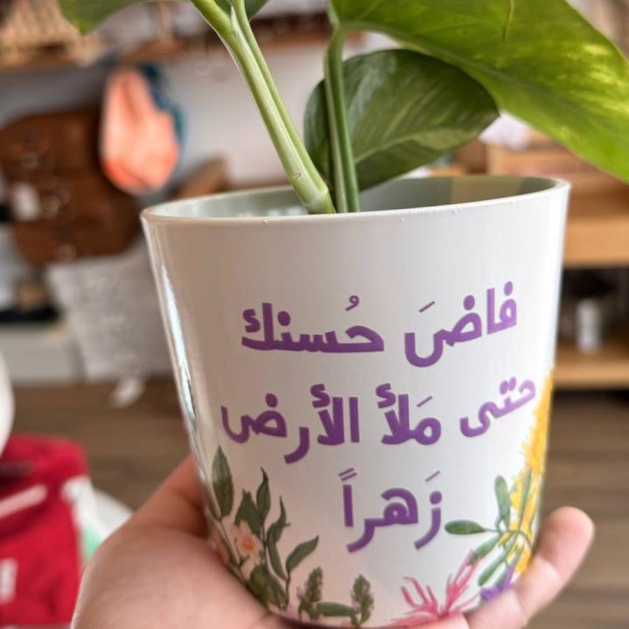 زرعة بوتس داخل علبة سيراميك فاض حسنك حتی ملا الارض زهرا