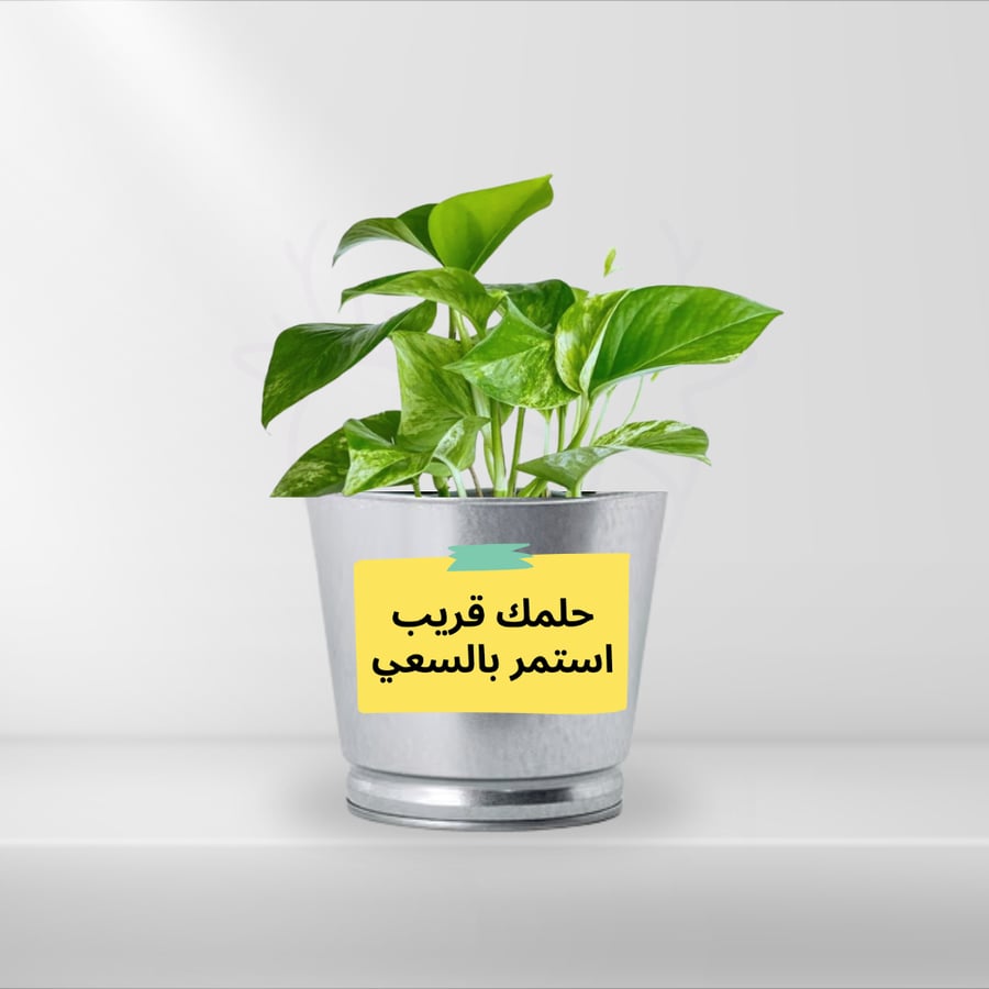 زرعة بوتس داخل علبة معدنية برسالة محفزة حلمك قريب استمر بالسعي