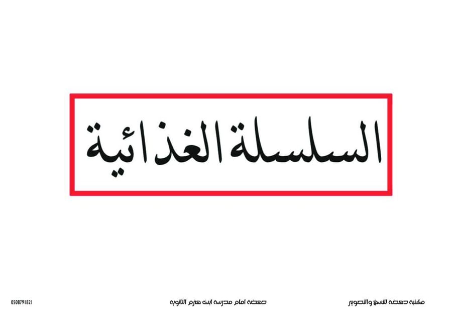 السلسة الغذائيه