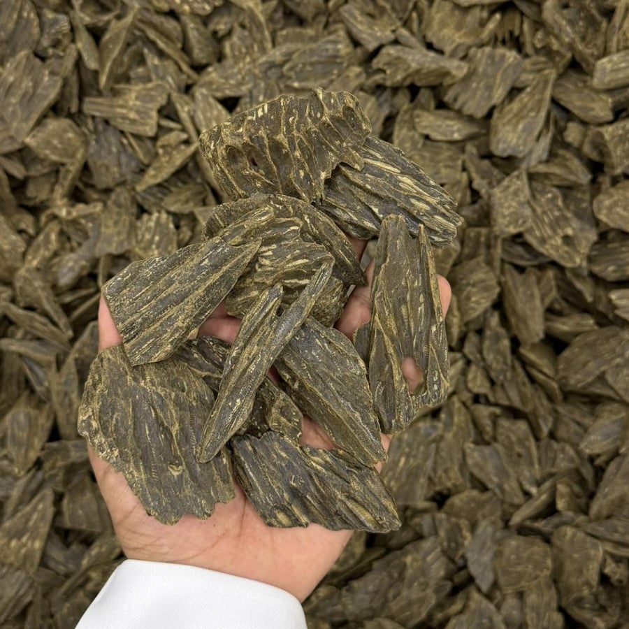 العود الازرق بيور