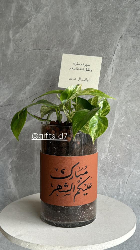 نبتة بوتس