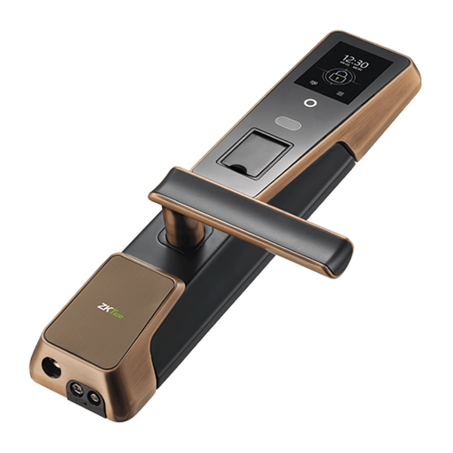SMART LOCKS ZM100