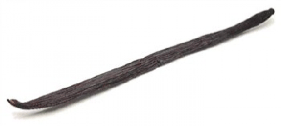 عدد ( 1 ) عود فانليا نوع ( PLANIFOLIA VANILLA BEANS )