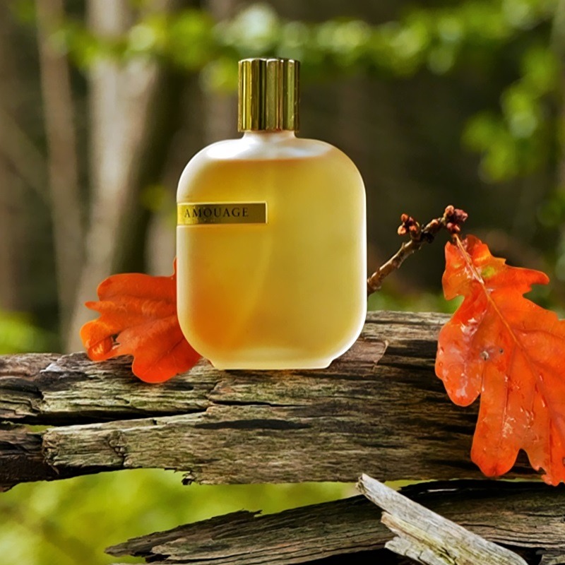 عطر امواج اوبس V او دو بارفيوم 100مل (تستر)