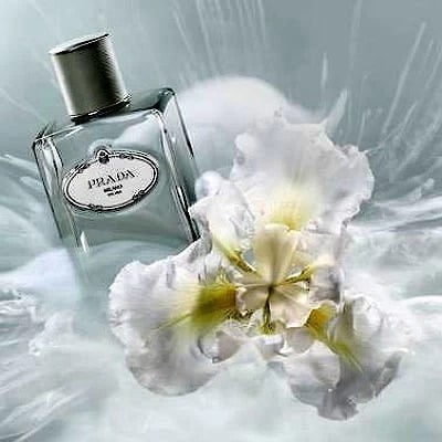 عطر برادا انفيوجن دي سيدار او دو بارفيوم 100 مل