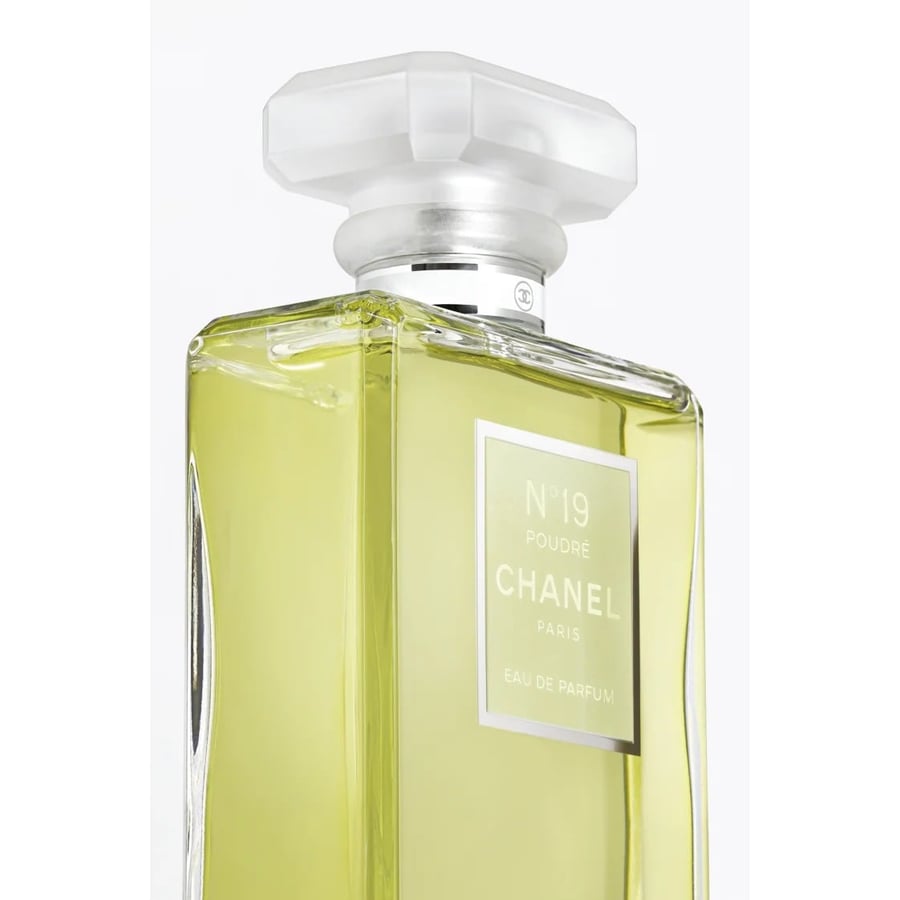 عطر شانيل N° 19 براود أو دو بارفيوم 100 مل (تستر)