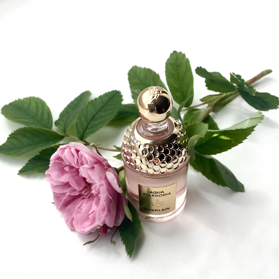 عطر جيرلان اكوا أليغوريا روزا روسا أو دو بارفيوم 125 مل (تستر)