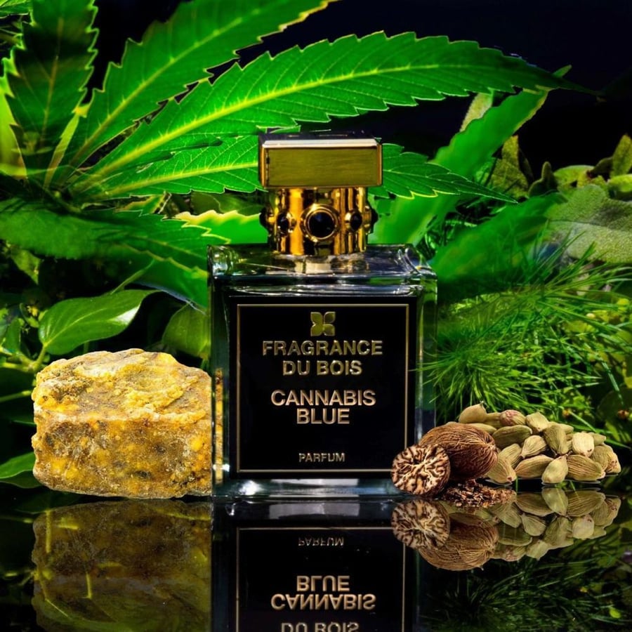 عطر فراغرانس دو بوا كانابيس بلو بارفيوم للجنسين 100 مل (تستر)