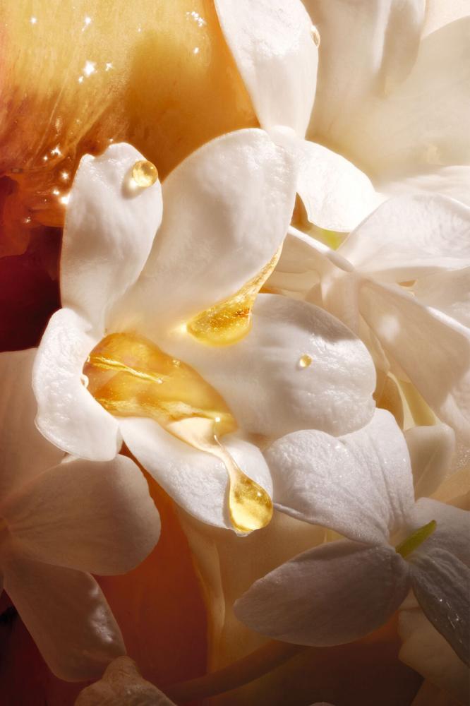 Dior Moisturizing Lotion 350ml- لوشن ديور Jasmin des Anges
