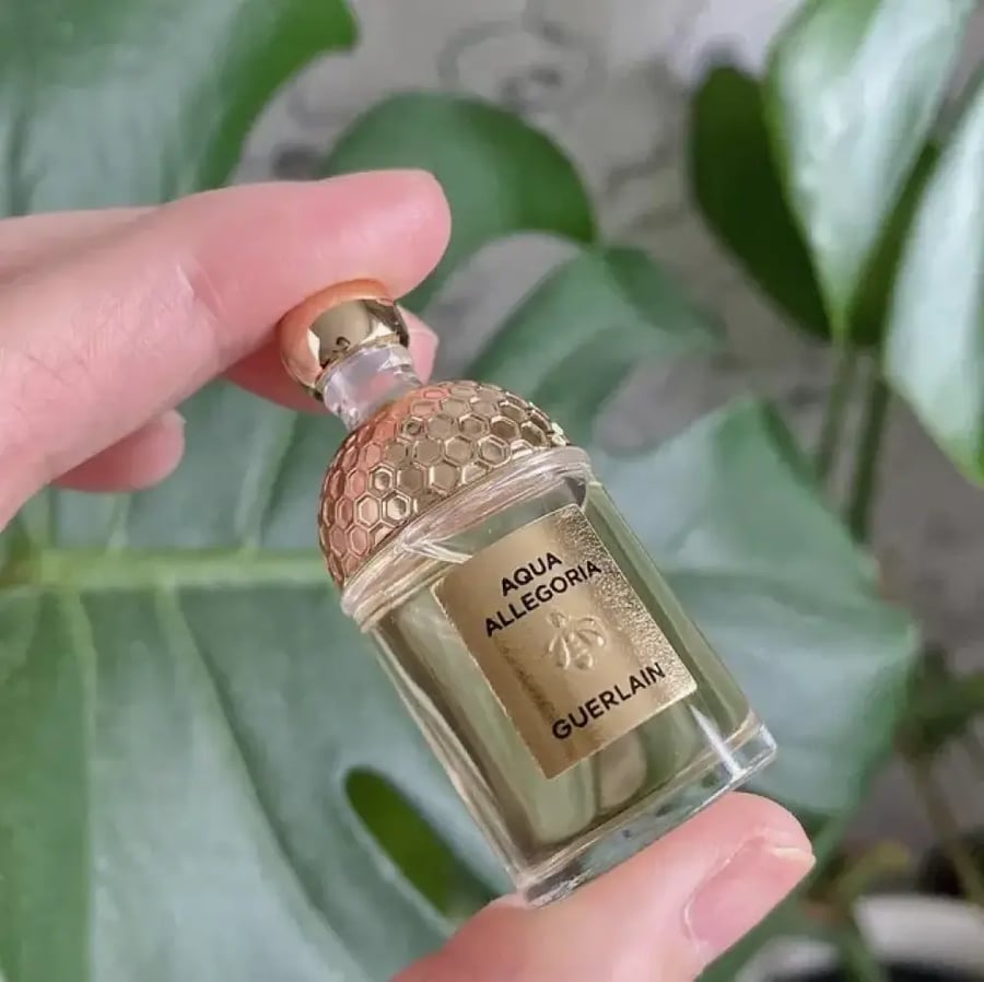 عطر جيرلان روزا روسا - aqua allegoria forte rosa rossa 7.5 ml