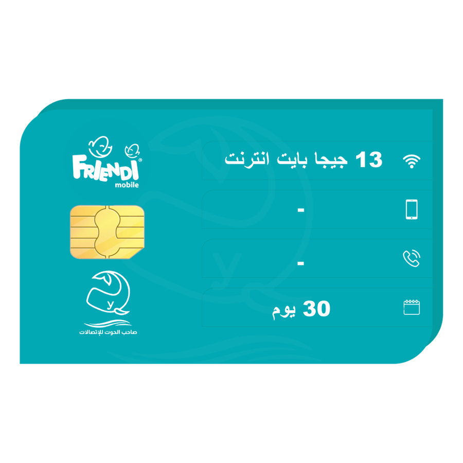 Internet SIM card Frendi 13 GB for 30 days