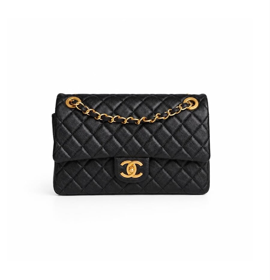 Chanel C102 bag