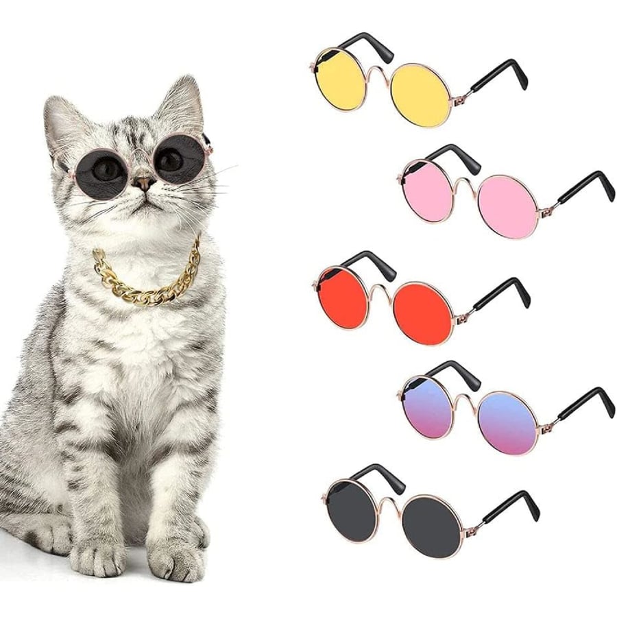 cat sunglasses