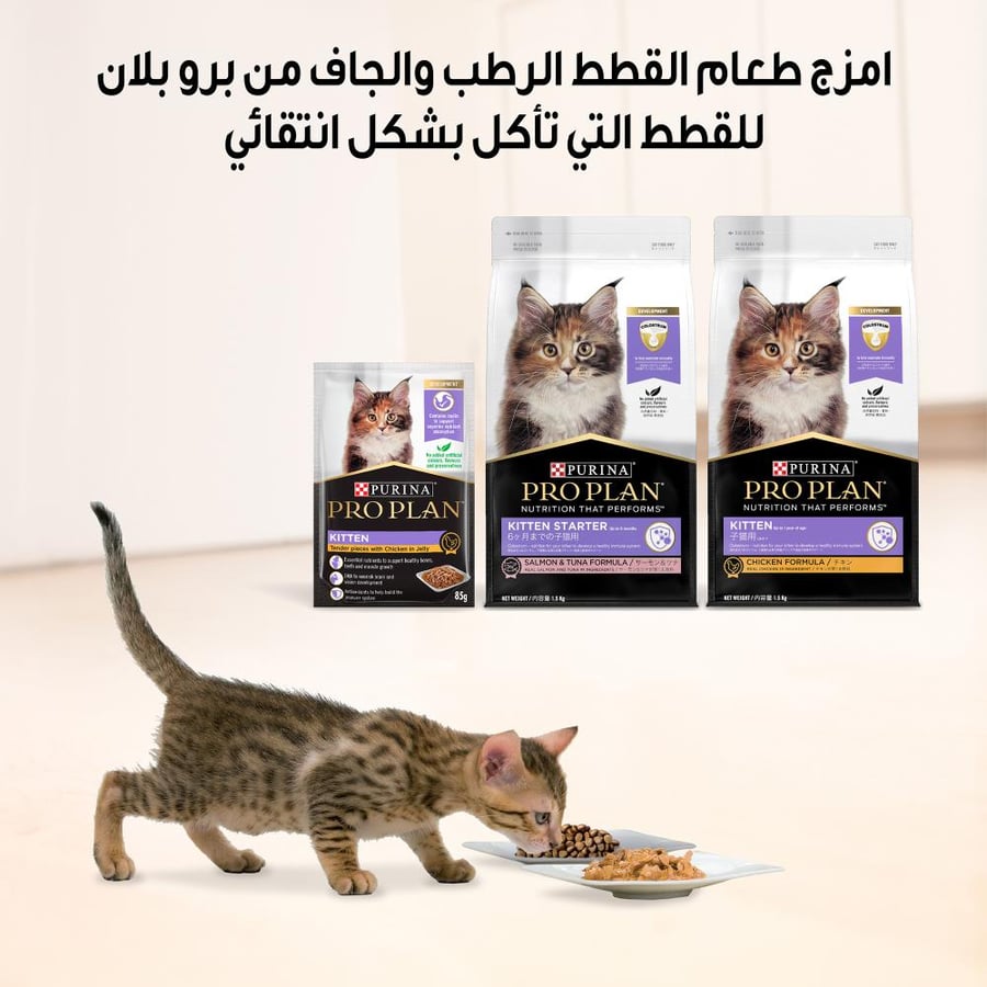 Pro Plan Purina Healthy Wet Food for Kittens, Salmon in Gravy, 85g