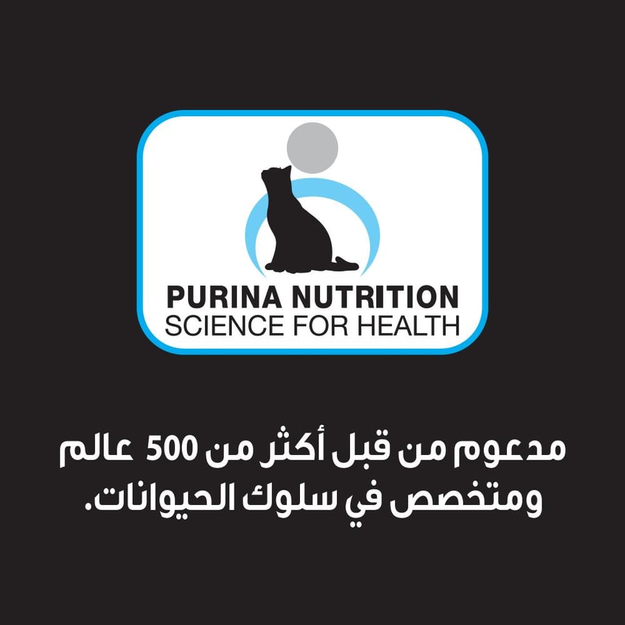 Pro Plan Purina Healthy Moisturizing Food for Hair Care and Beauty Enhancement, Salmon in Gravy 85g