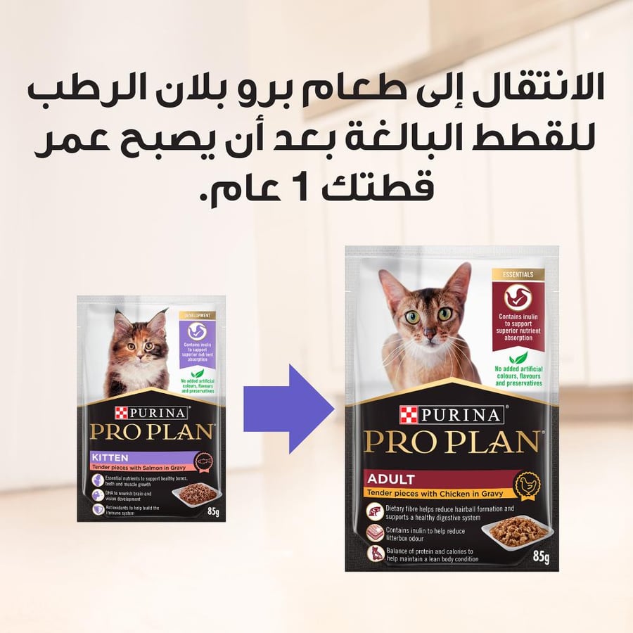 Pro Plan Purina Healthy Wet Food for Kittens, Salmon in Gravy, 85g