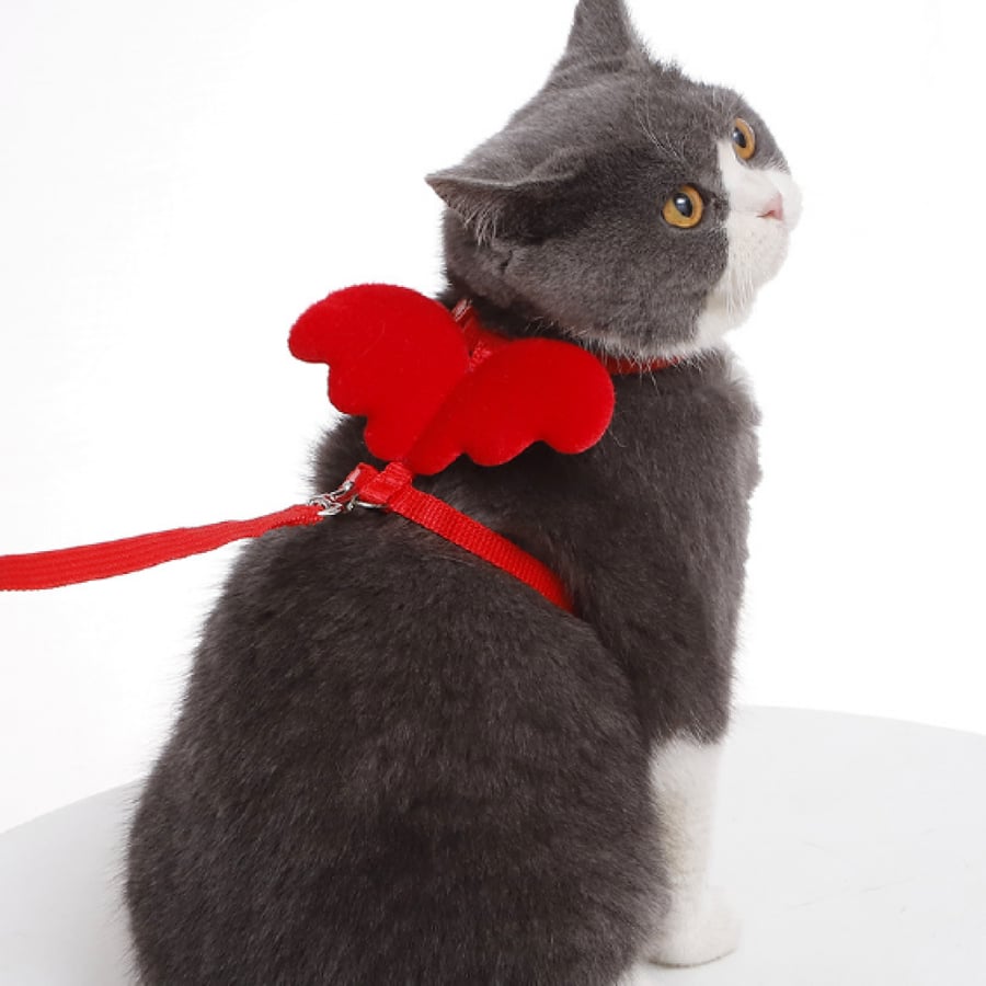 Bra with corset for cats in the shape of a wing in several colors
