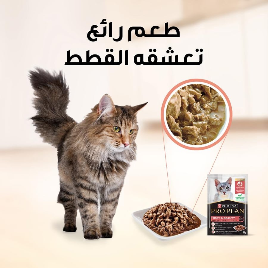 Pro Plan Purina Healthy Moisturizing Food for Hair Care and Beauty Enhancement, Salmon in Gravy 85g
