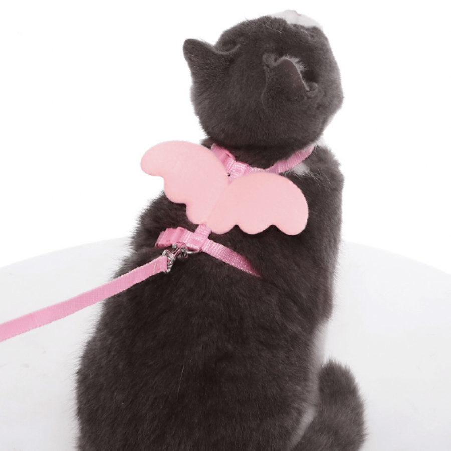 Bra with corset for cats in the shape of a wing in several colors