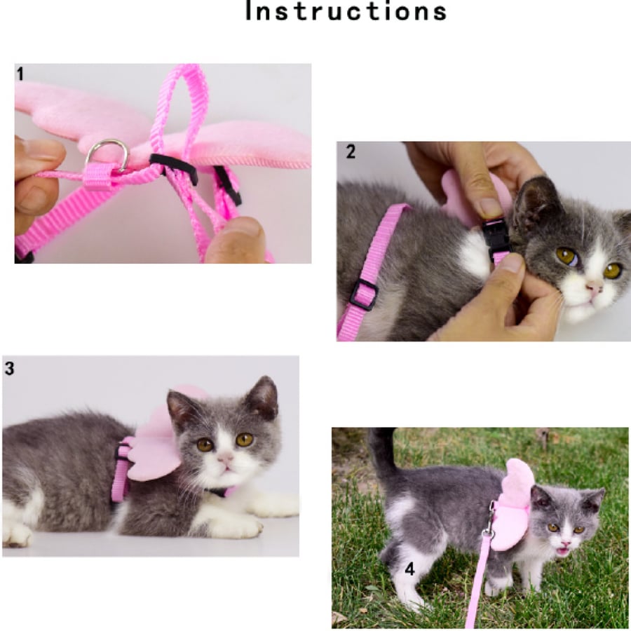 Bra with corset for cats in the shape of a wing in several colors
