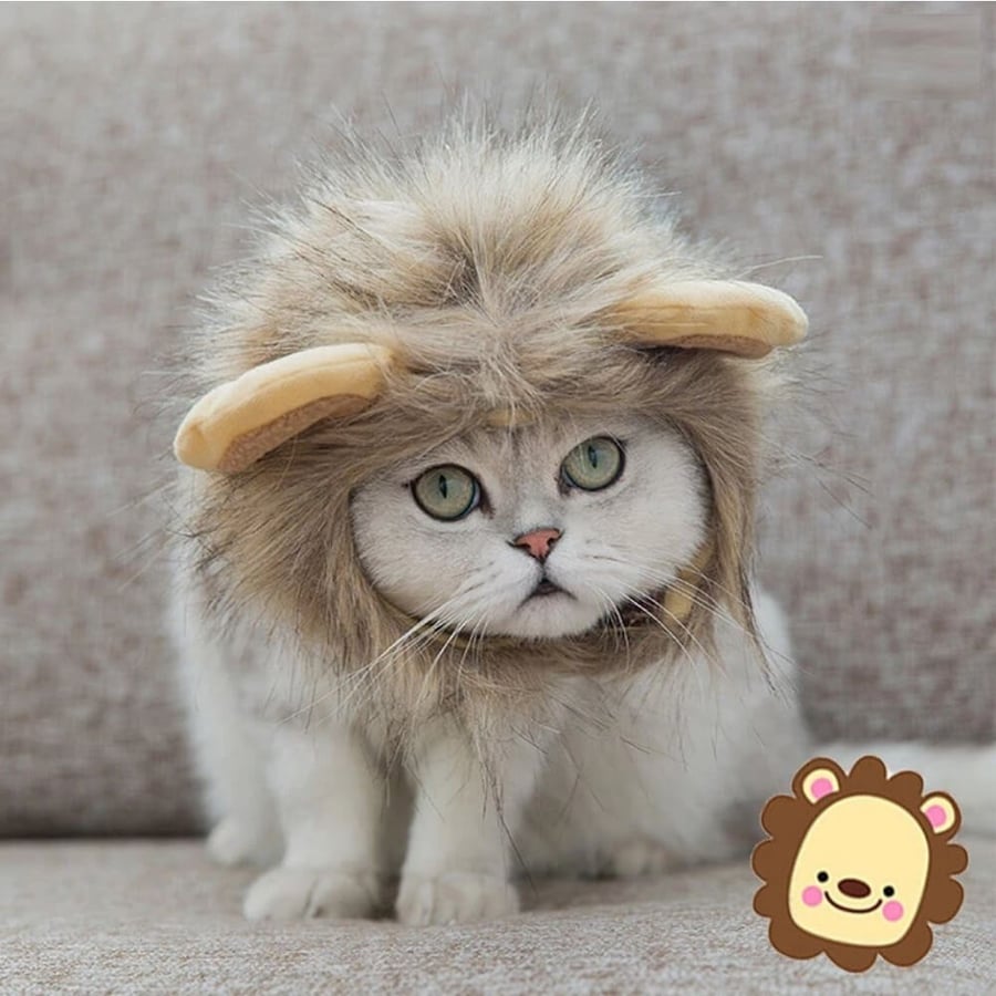 wearing a lion
