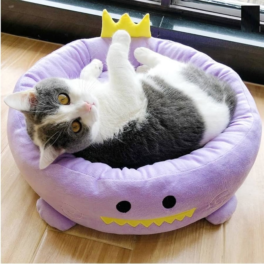 سرير القطط الأمير - cat bed princes