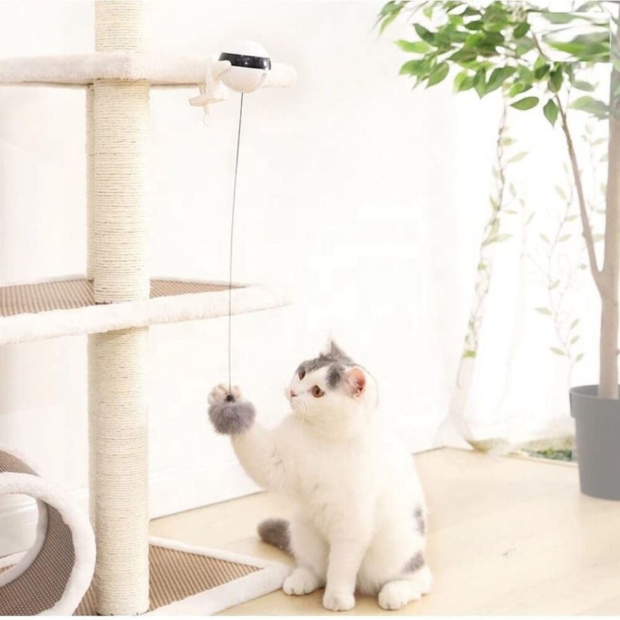 Smart electronic hook game