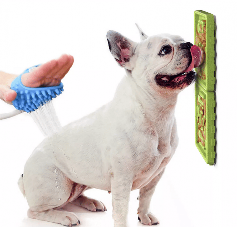 A bowl that sticks to the wall to distract your dog and make bathing easier