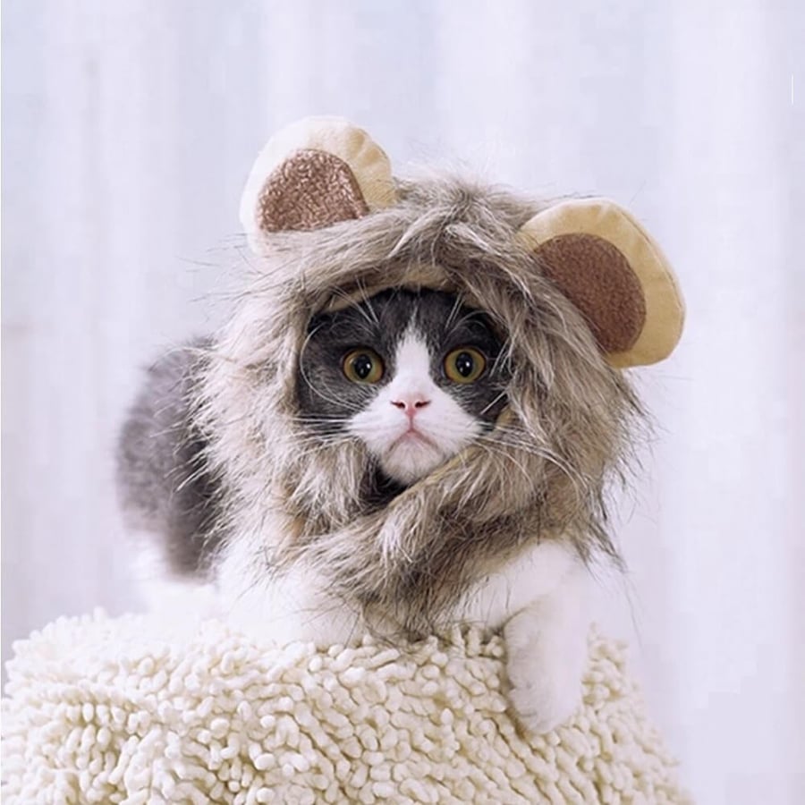 wearing a lion