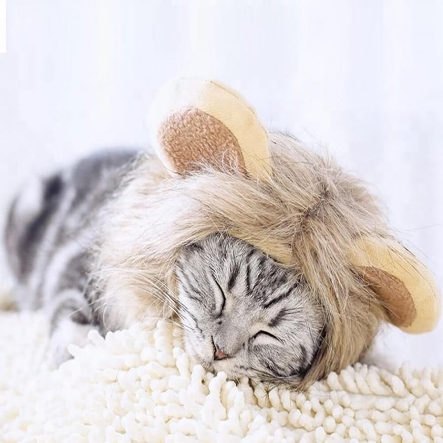 wearing a lion