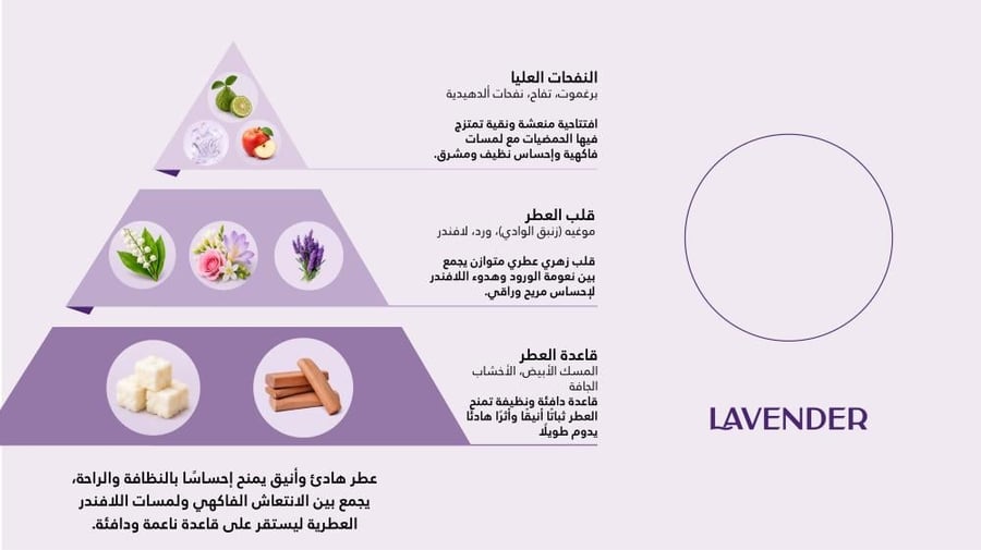 لافندر  ـ LAVENDER